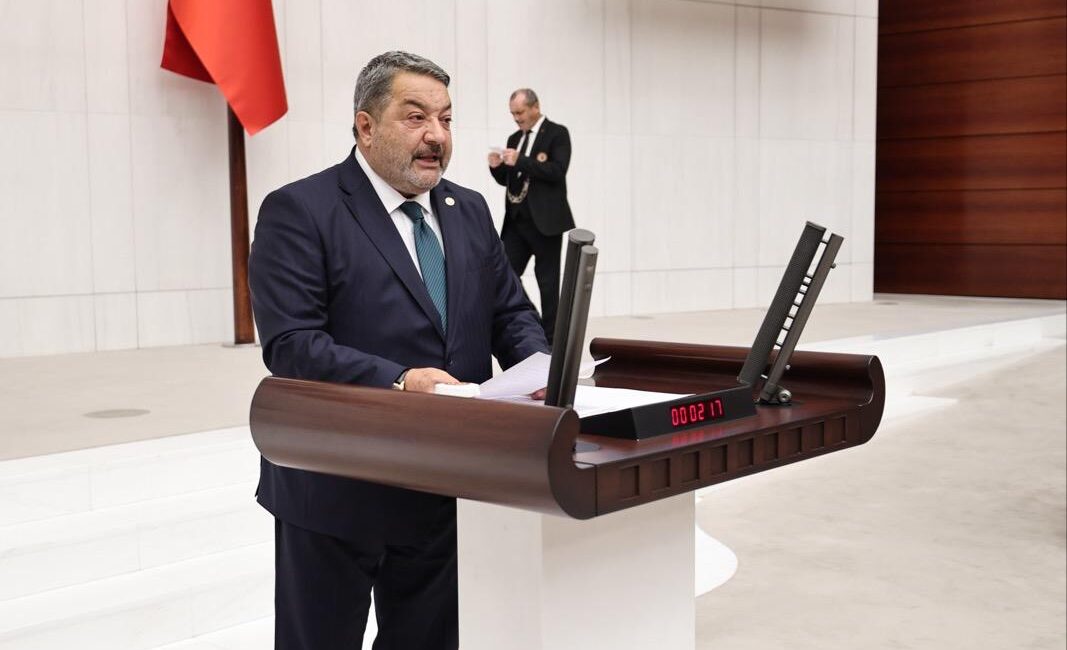 MHP Malatya Milletvekili Mehmet Celal Fendoğlu TBMM'de söz alarak Malatya