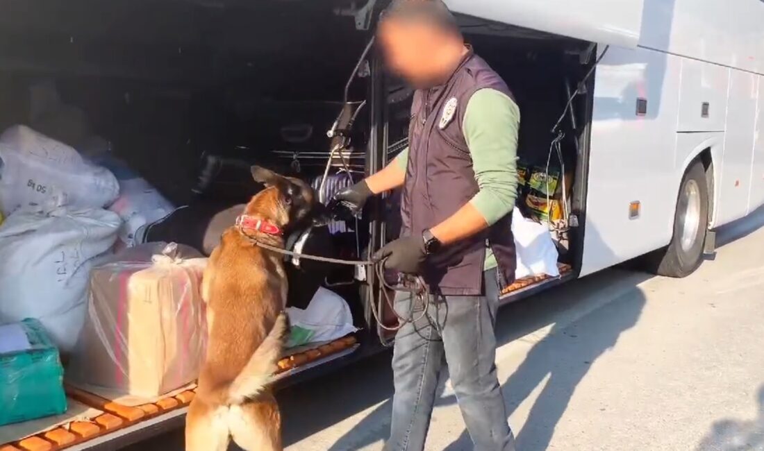 Malatya Emniyet Müdürlüğü bir otobüsün bagajında narkotik köpeği Bonita sayesinde