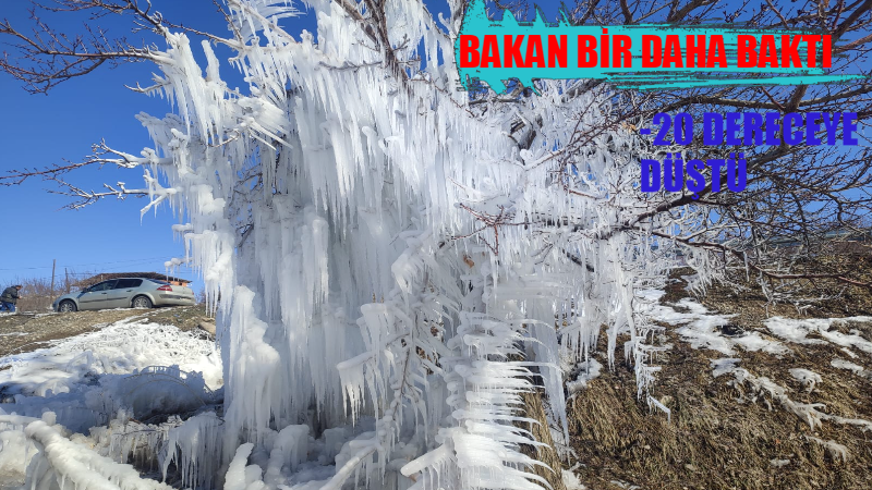 Malatya'nın Darende İlçesinde patlayan şebeke suyu ile dondurucu soğuk kayısı