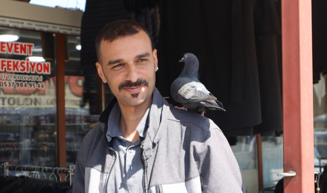 Güvercin ile Malatyalı Esnafın Dostluğu Görenleri Şaşırtıyor Malatya’da konteynerlerden oluşturulan geçici çarşıda esnaflık yapan Yavuz Gediktaş, yoğun