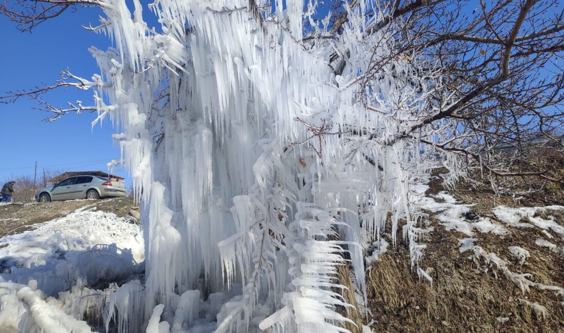 Meteoroloji tarafından don ve buzlanma uyarısından bulunuldu. Yer yer kar