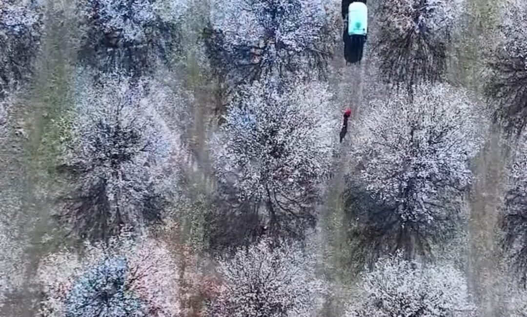 Malatya'da yer yer -7 derecelere kadar düşmesi beklenen hava sıcaklığı