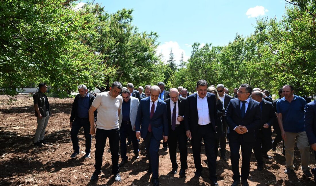 Nisan ayında gerçekleşen zirai don ile ilgili TBMM Zirai Don