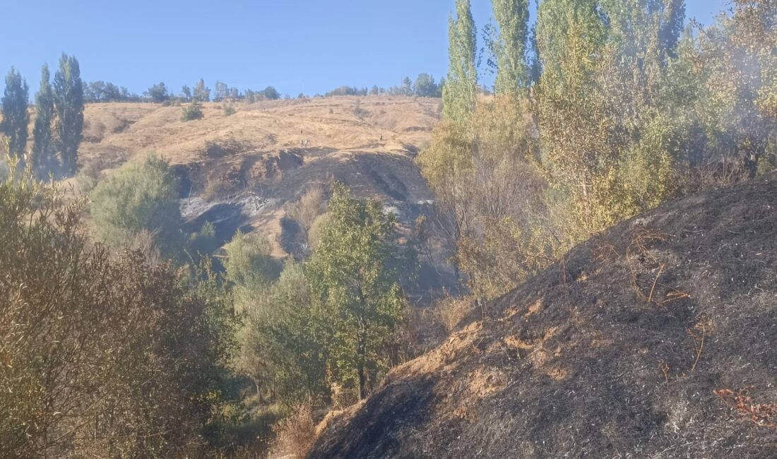 Pütürge ilçesi Nohutlu Mahallesi'nde arazi yangını meydana geldi.